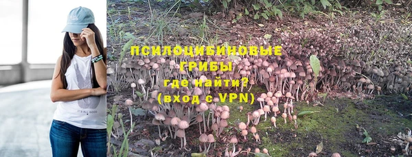 дмт Лихославль