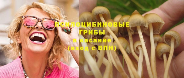таблы Лиски