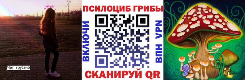 Купить где  Котельниково  Галлюциногенные грибы Psilocybine cubensis 